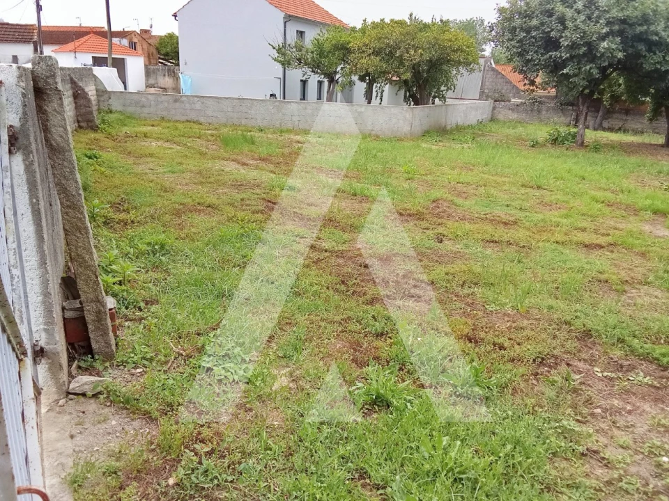 Terreno para Venda em Cacia Foto 5