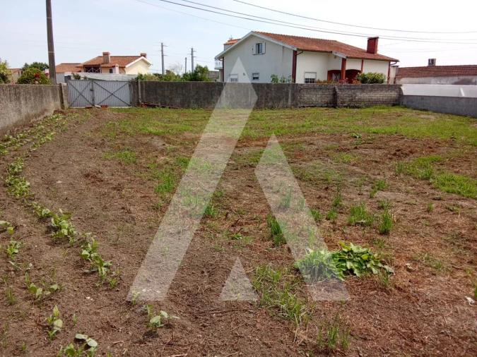 Terreno para Venda em Cacia Foto 2