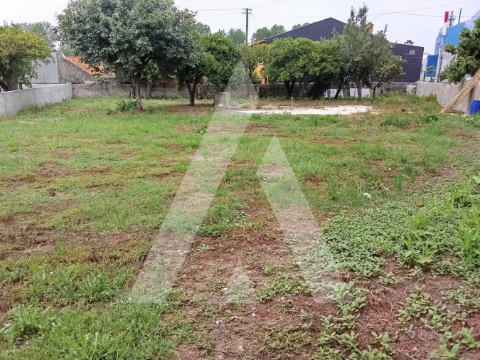 Terreno para Venda em Cacia Foto 6