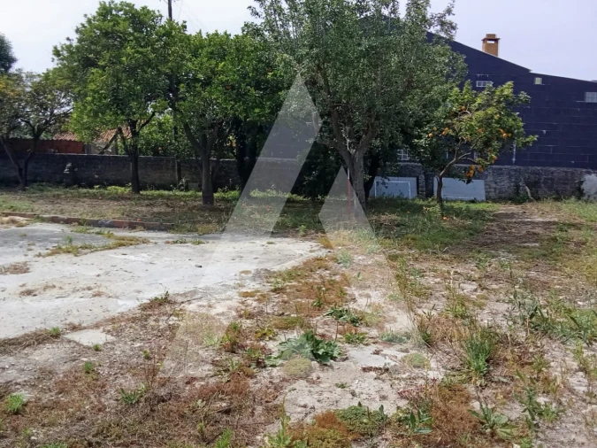 Terreno para Venda em Cacia Foto 10