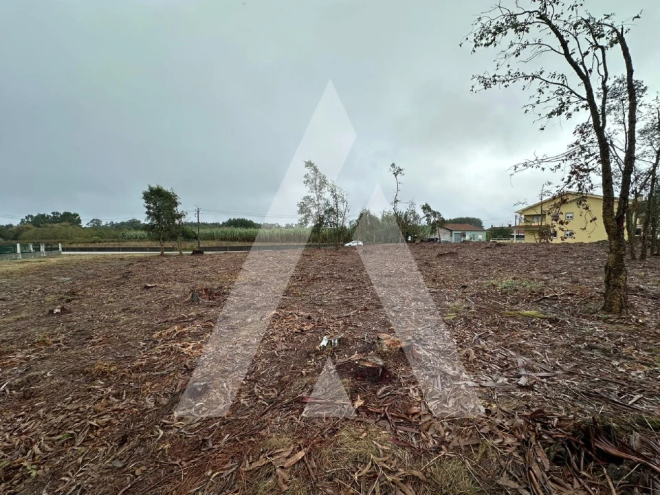 Terreno para Venda em Oiã Foto 5