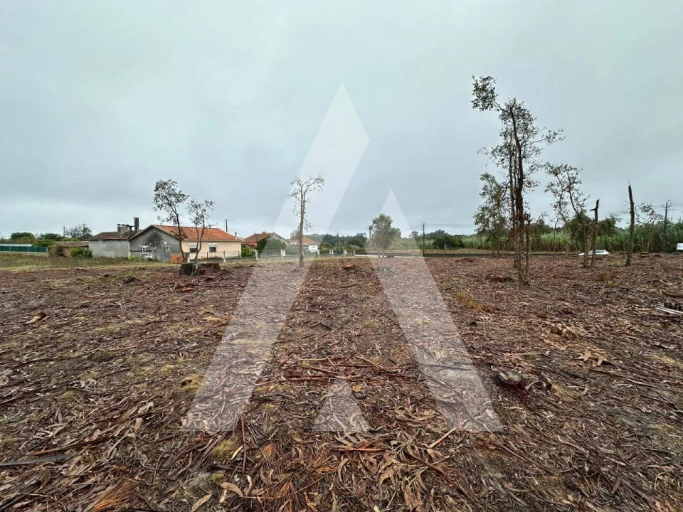 Terreno para Venda em Oiã Foto 7