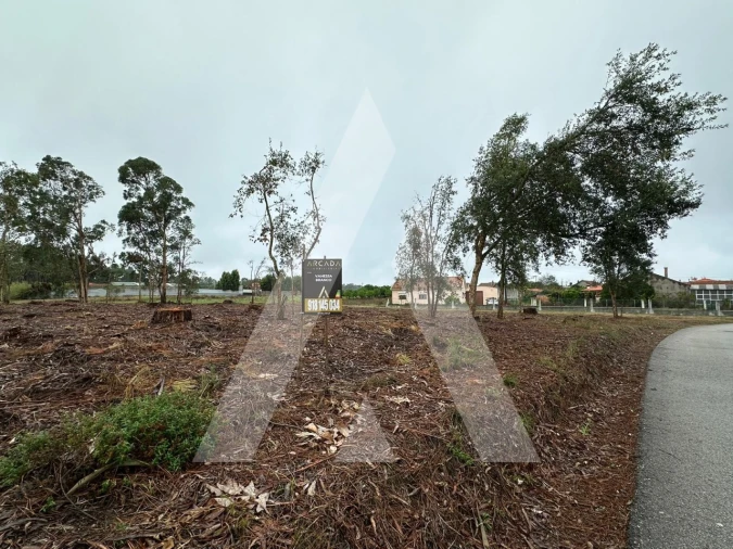 Terreno para Venda em Oiã Foto 2