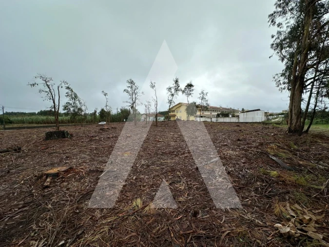 Terreno para Venda em Oiã Foto 6