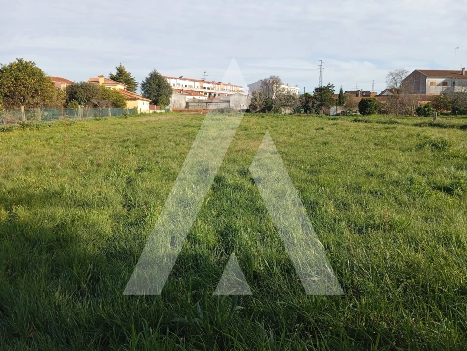 Terreno para Venda em Oiã Foto 1