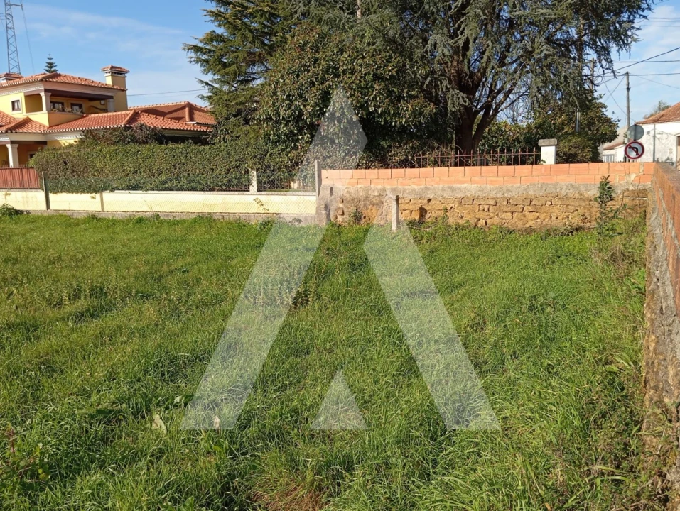 Terreno para Venda em Oiã Foto 3