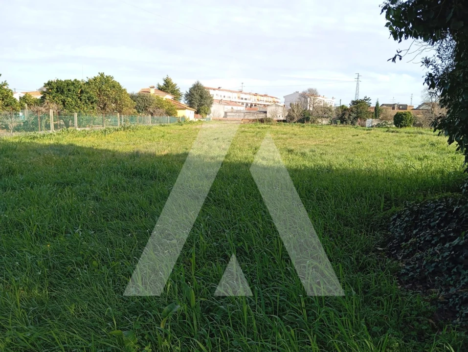 Terreno para Venda em Oiã Foto 4