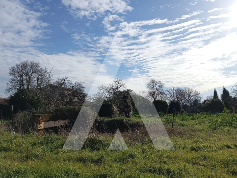 Terreno para Venda em Oiã Foto 8