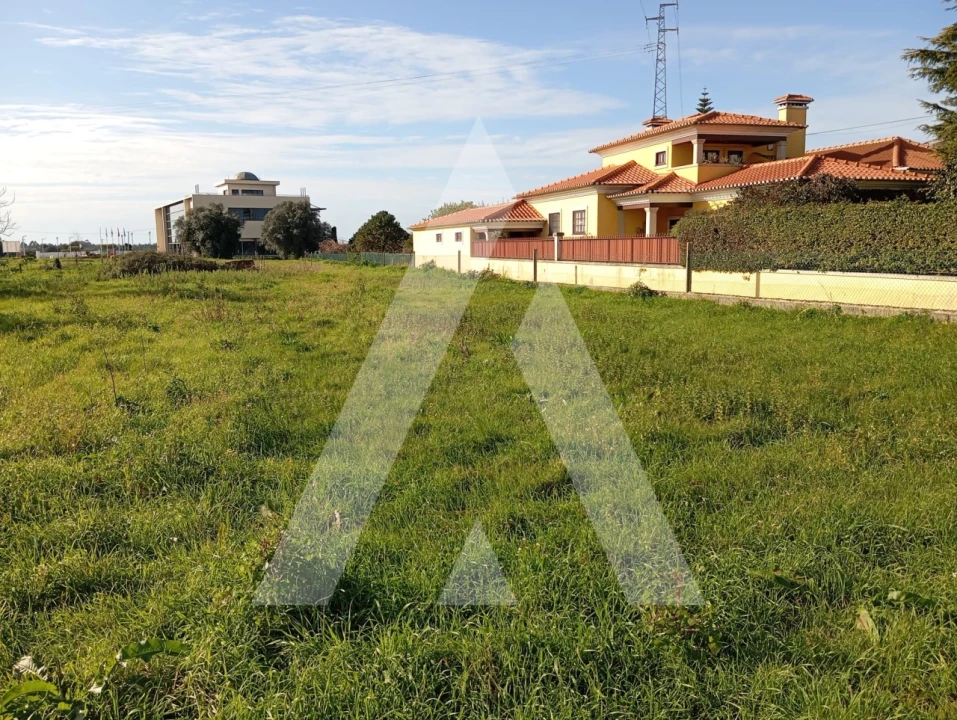 Terreno para Venda em Oiã Foto 11