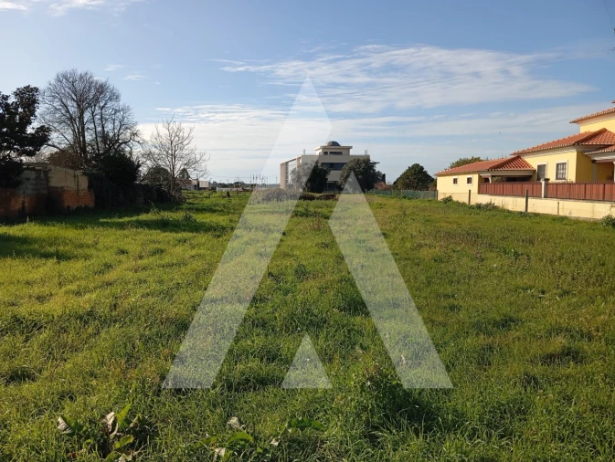 Terreno para Venda em Oiã Foto 2