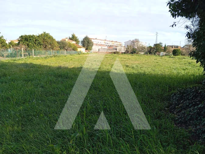 Terreno para Venda em Oiã Foto 4