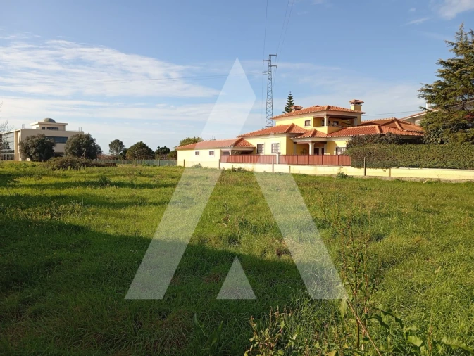 Terreno para Venda em Oiã Foto 10