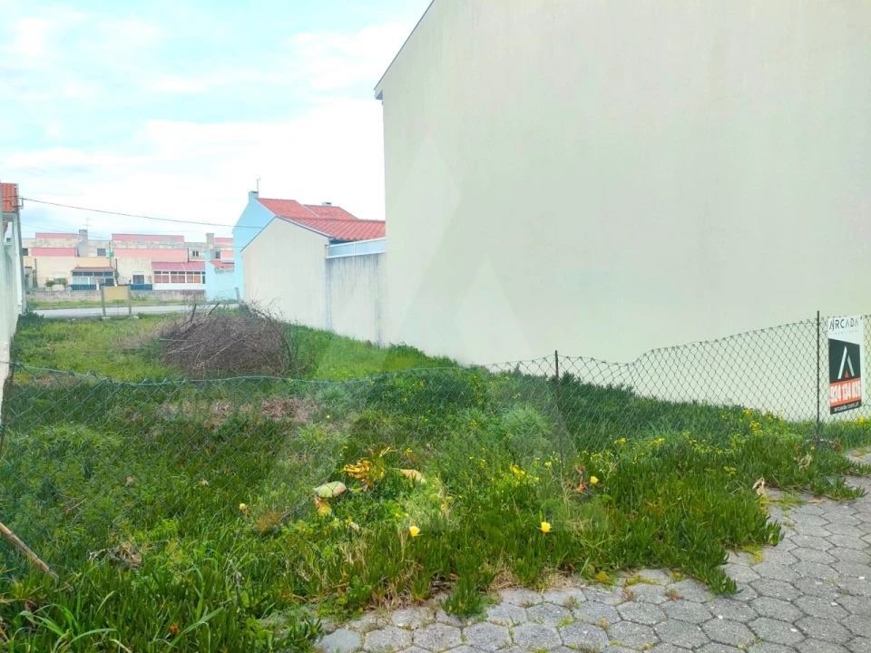 Terreno para Venda em São Jacinto Foto 3