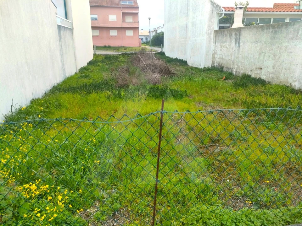 Terreno para Venda em São Jacinto Foto 6