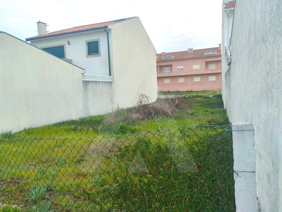 Terreno para Venda em São Jacinto Foto 7