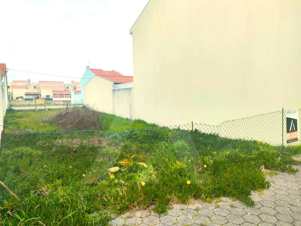 Terreno para Venda em São Jacinto Foto 8