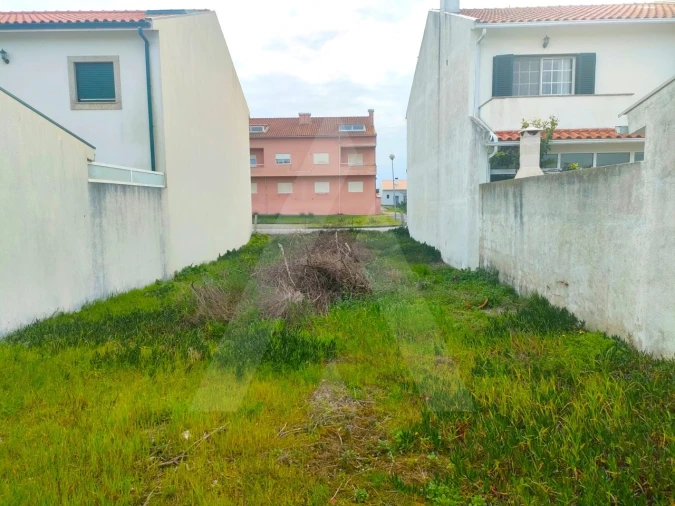 Terreno para Venda em São Jacinto Foto 1