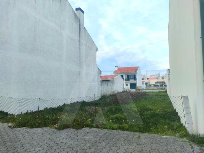 Terreno para Venda em São Jacinto Foto 4