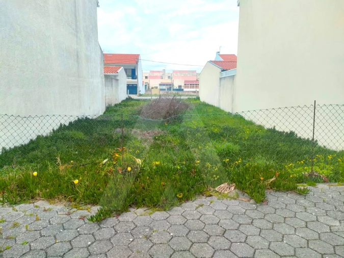 Terreno para Venda em São Jacinto Foto 5