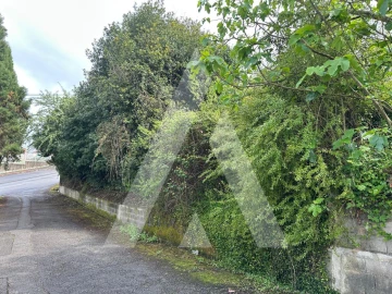 Terreno para Venda em Oliveira do Bairro