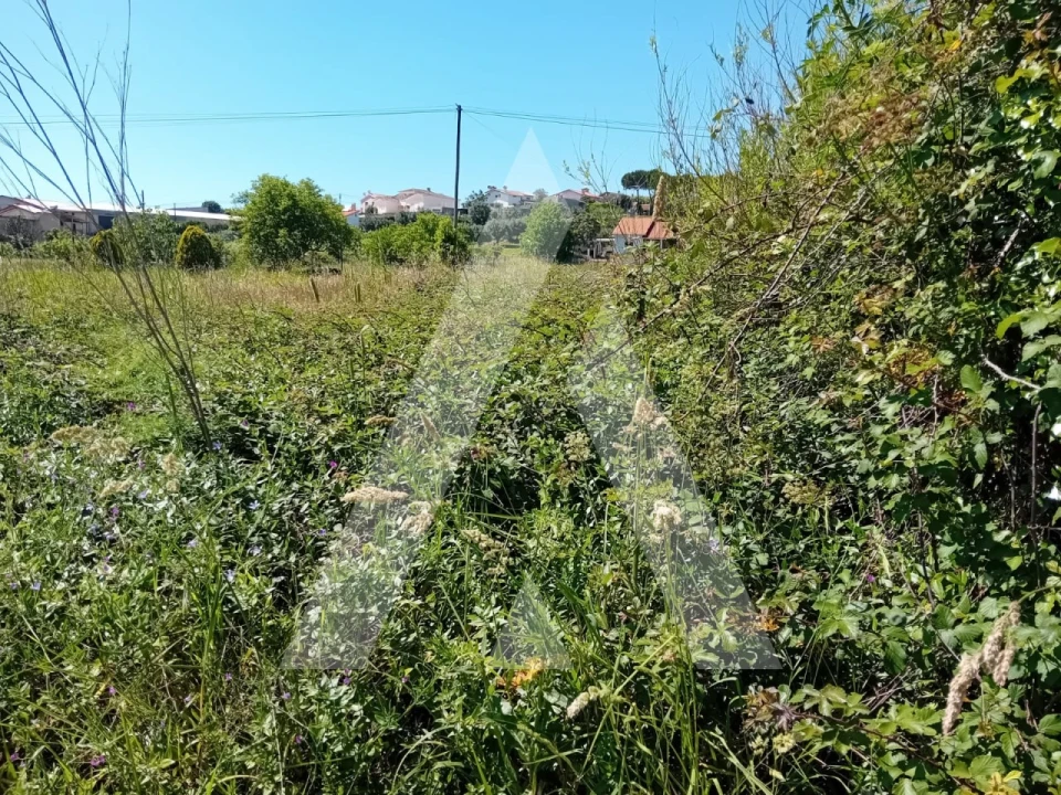 Terreno para Venda em Mealhada, Ventosa do Bairro e Antes Foto 2