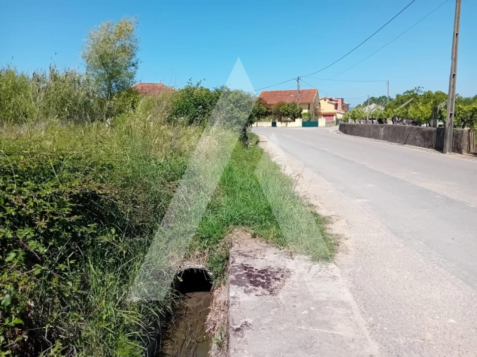 Terreno para Venda em Mealhada, Ventosa do Bairro e Antes Foto 5