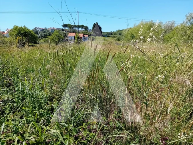 Terreno para Venda em Mealhada, Ventosa do Bairro e Antes Foto 4