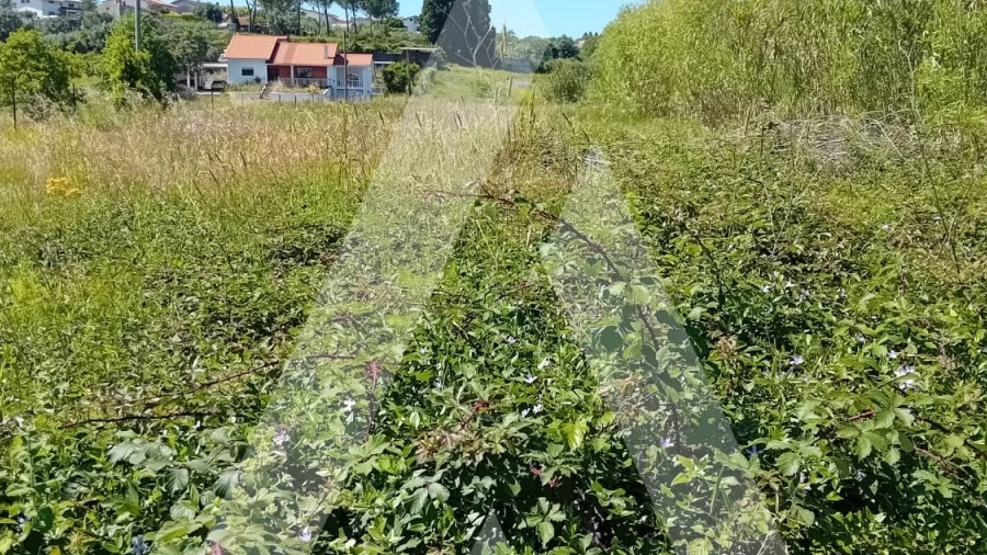 Terreno para Venda em Mealhada, Ventosa do Bairro e Antes
