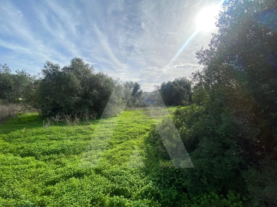 Terreno para Venda em Almancil Foto 5