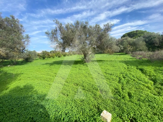 Terreno para Venda em Almancil Foto 4