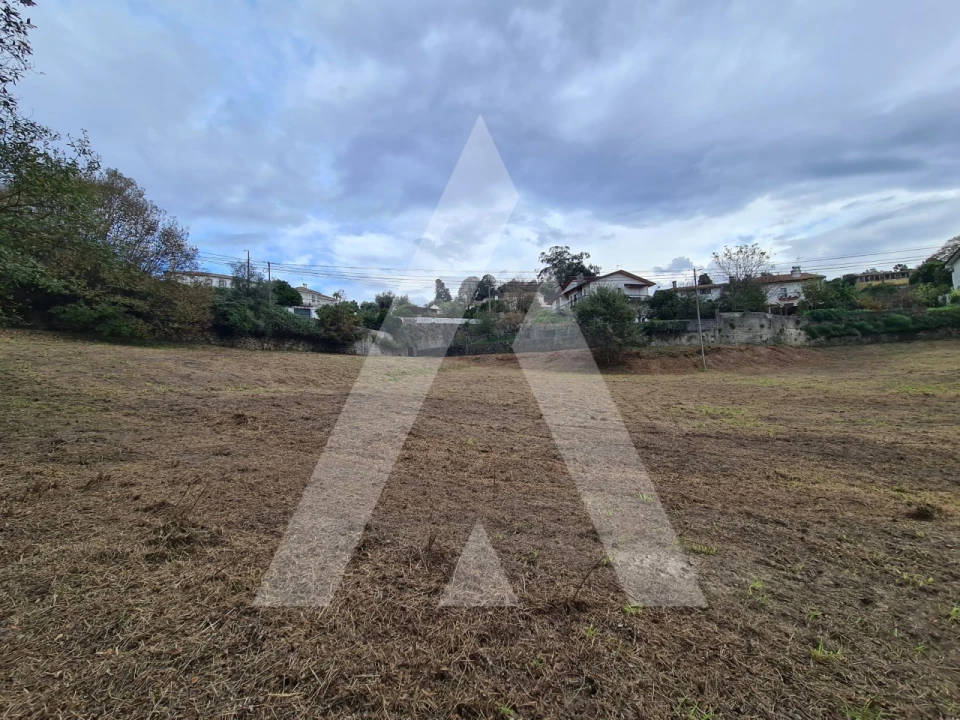 Terreno para Venda em Pinheiro da Bemposta, Travanca e Palmaz Foto 2