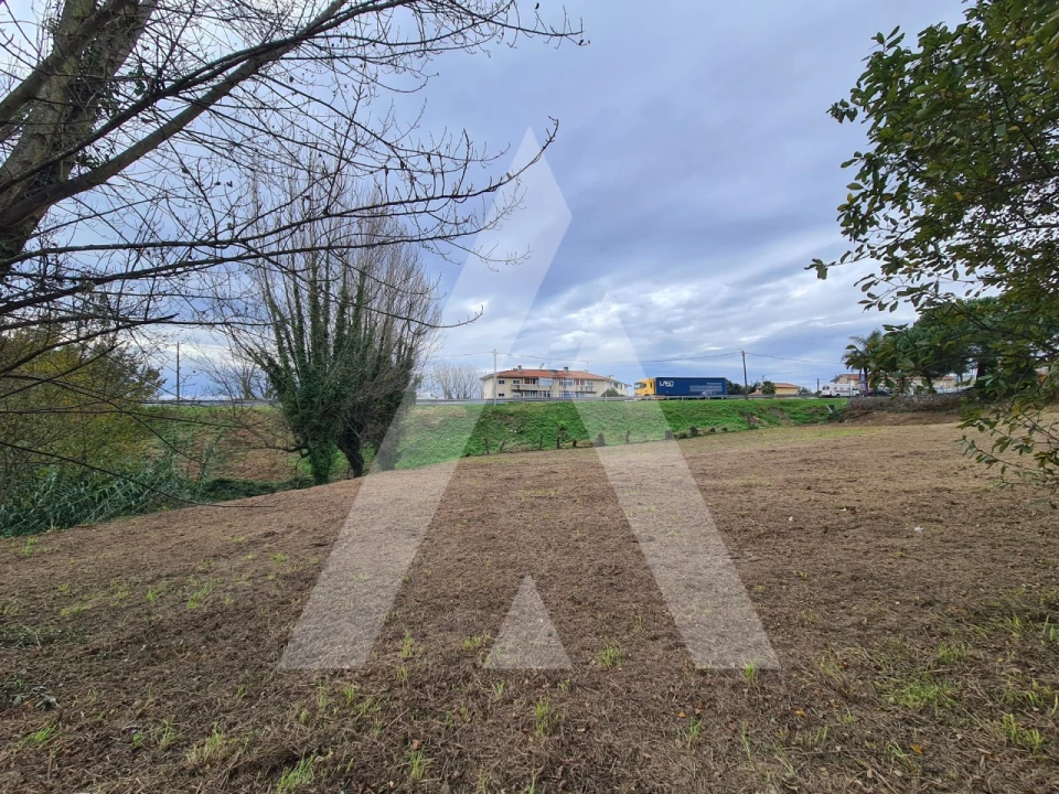 Terreno para Venda em Pinheiro da Bemposta, Travanca e Palmaz Foto 3