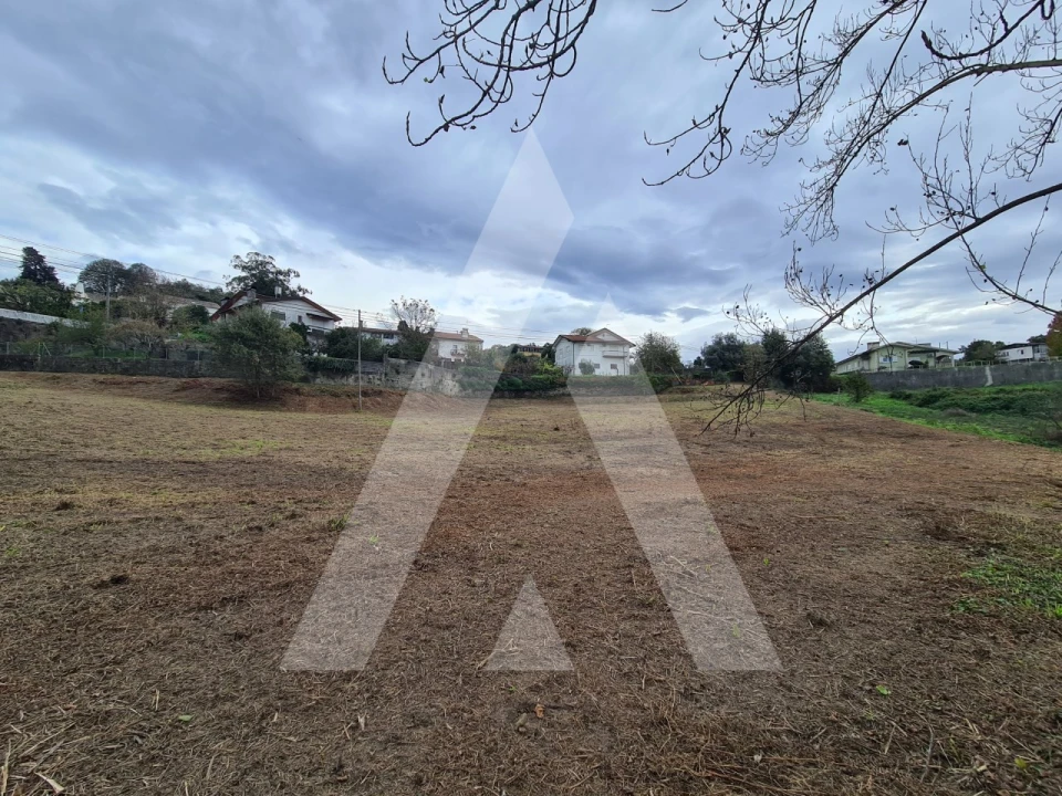 Terreno para Venda em Pinheiro da Bemposta, Travanca e Palmaz Foto 5