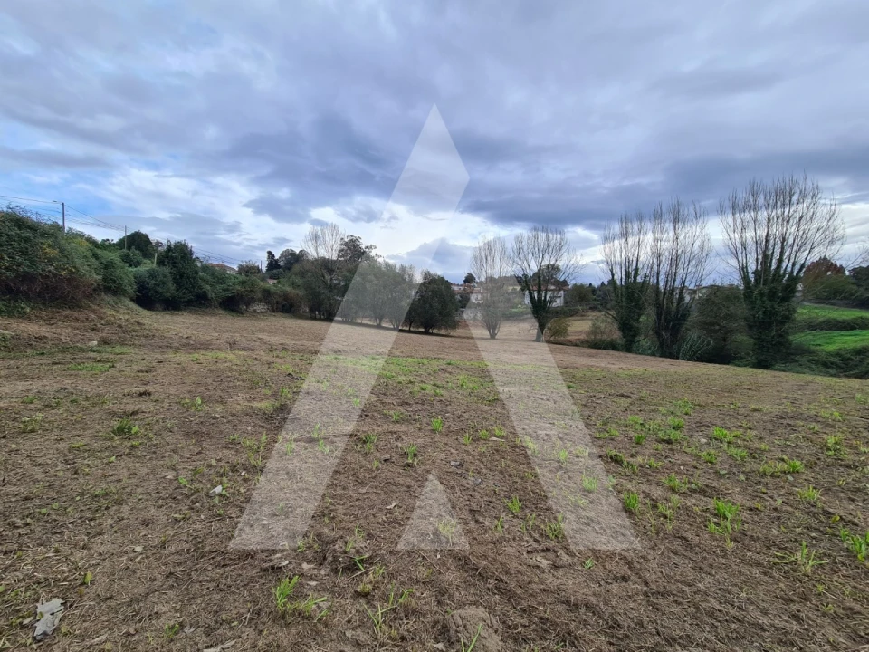 Terreno para Venda em Pinheiro da Bemposta, Travanca e Palmaz Foto 9
