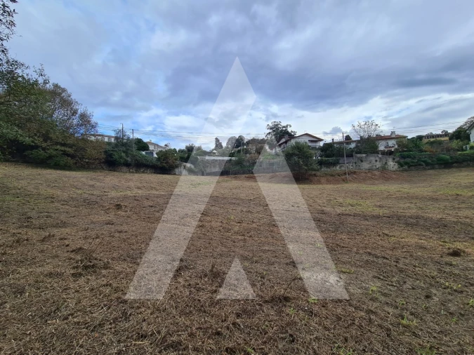 Terreno para Venda em Pinheiro da Bemposta, Travanca e Palmaz Foto 2