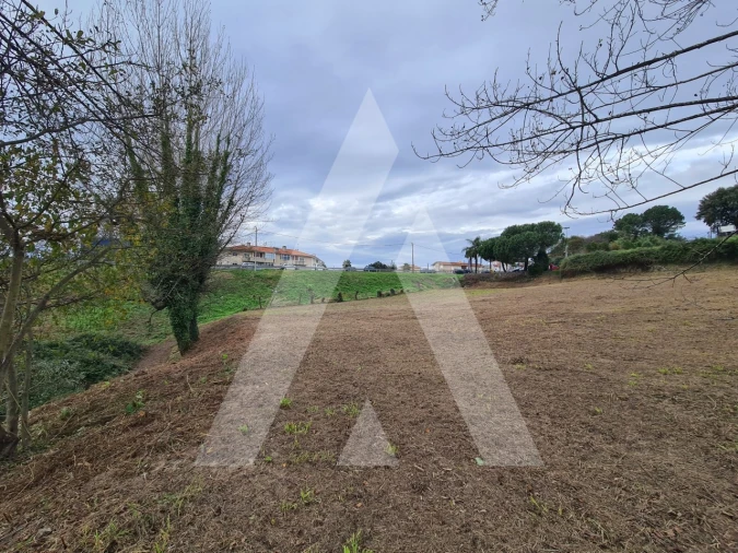 Terreno para Venda em Pinheiro da Bemposta, Travanca e Palmaz Foto 6