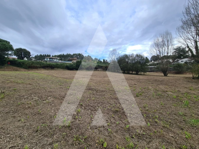 Terreno para Venda em Pinheiro da Bemposta, Travanca e Palmaz Foto 8