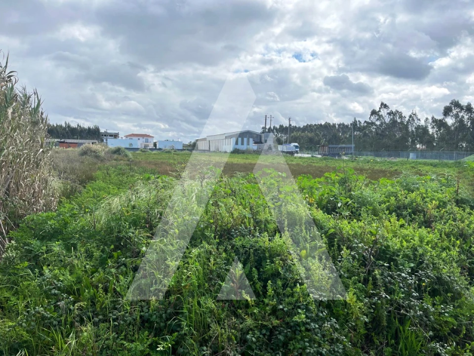 Terreno para Venda em Vagos e Santo António Foto 7