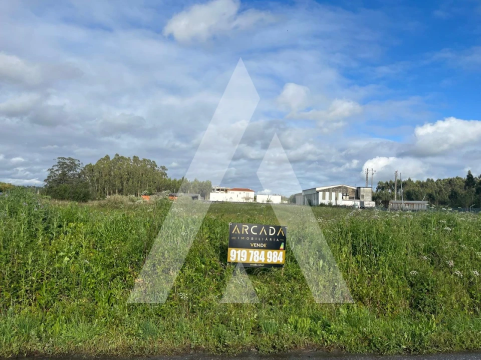 Terreno para Venda em Vagos e Santo António Foto 5