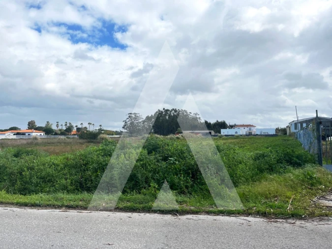 Terreno para Venda em Vagos e Santo António Foto 6