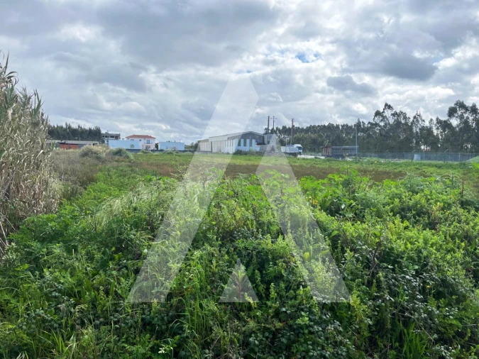 Terreno para Venda em Vagos e Santo António Foto 7