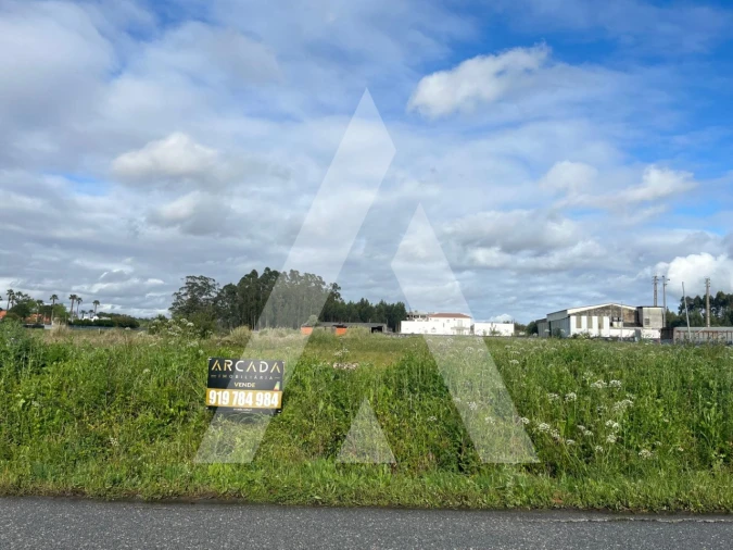 Terreno para Venda em Vagos e Santo António Foto 4