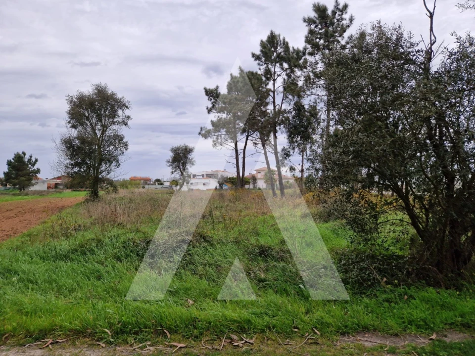 Terreno para Venda em Ouca Foto 1