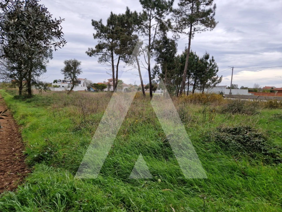 Terreno para Venda em Ouca Foto 9