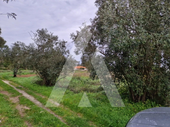 Terreno para Venda em Ouca Foto 2