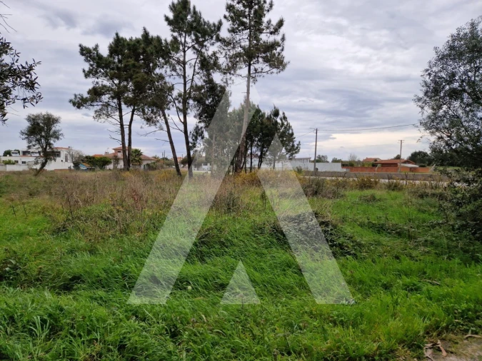 Terreno para Venda em Ouca Foto 4