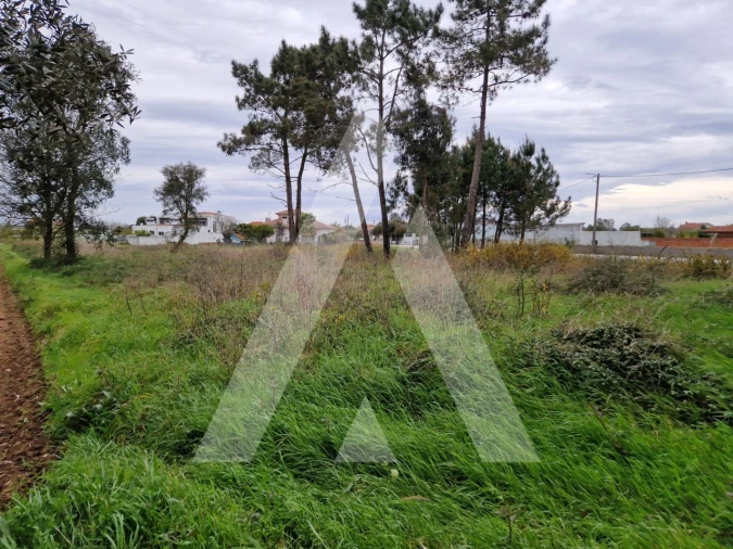 Terreno para Venda em Ouca Foto 5
