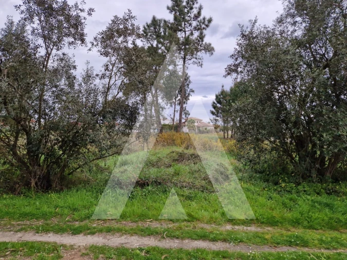 Terreno para Venda em Ouca Foto 7