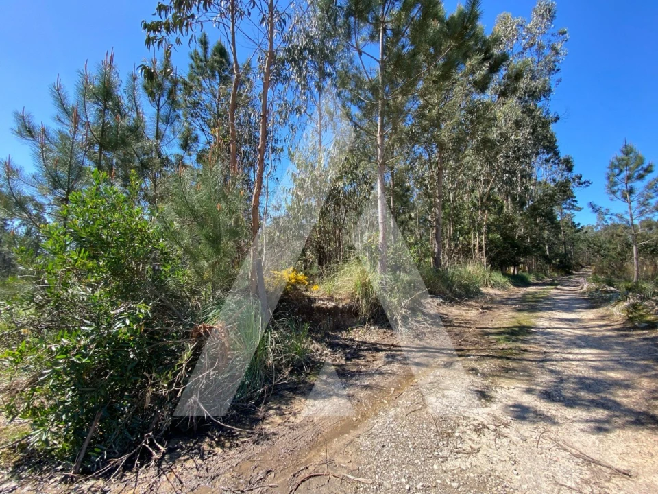 Terreno para Venda em Oliveirinha Foto 2