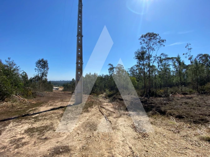 Terreno para Venda em Oliveirinha Foto 11